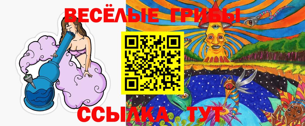 Кохма  Псилоцибиновые грибы GOLDEN TEACHER  что такое   Псилоцибиновые грибы Psilocybine cubensis  Вход с VPN 